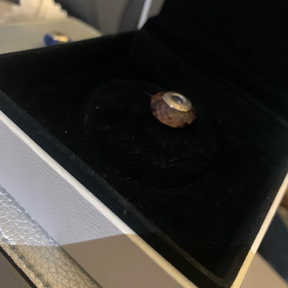 COPY - Pandora charm